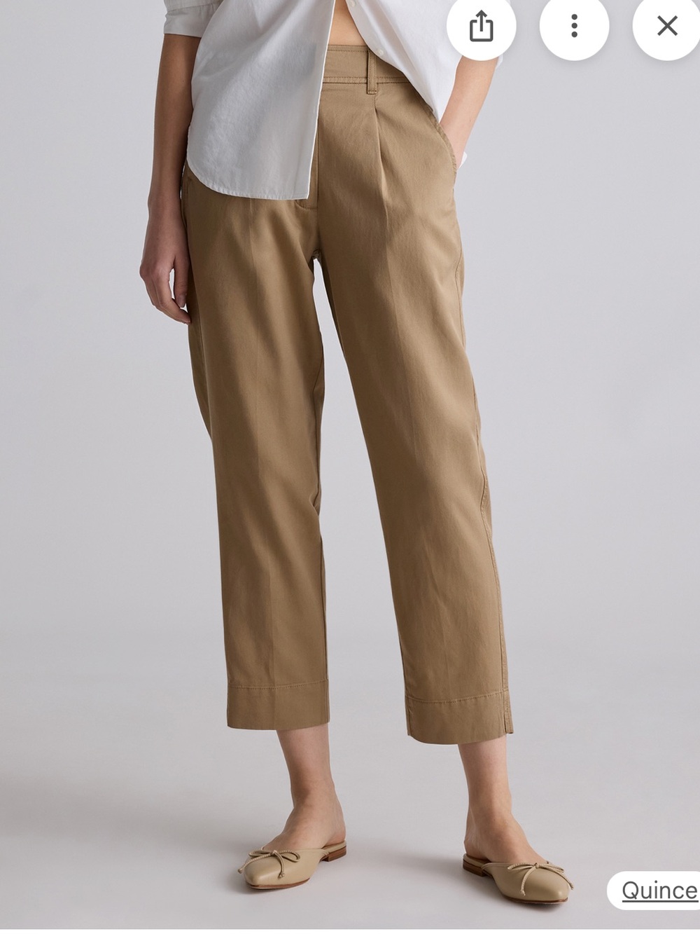NWT Quince Baywood Drapey Tencel Twill Tapered Ankle Pants Sz. 14